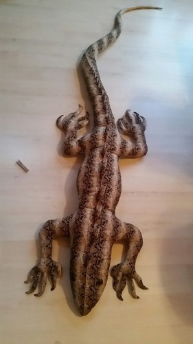 Stofftier drache echse - stofftier,