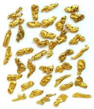 1 Goldnugget aus Yukon direkt