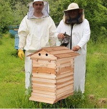 Automatisch Bienenbeute