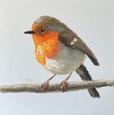 Rotkehlchen Original Pastell Malerei, Vogel Gemälde, Pastell auf Papier, 20x20cm