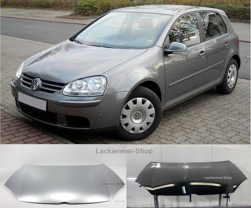 Motorhaube lackiert - motorhaube,