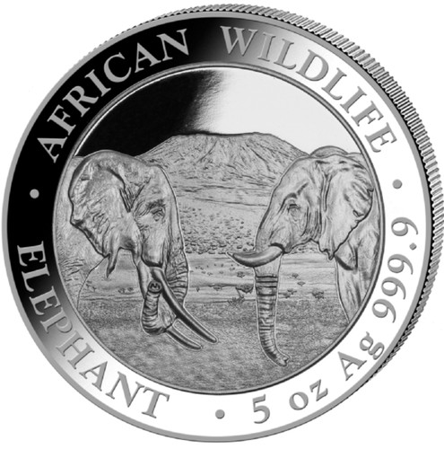 Silver african wildlife - 5,