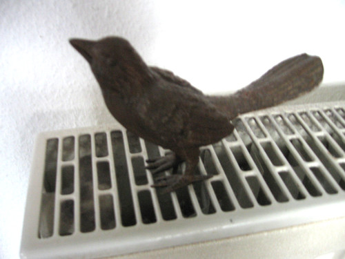 Vogel spatz sperling - sperling, aus