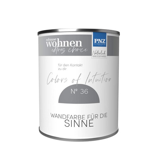 Pnz colors intuition nº 36 - colors,