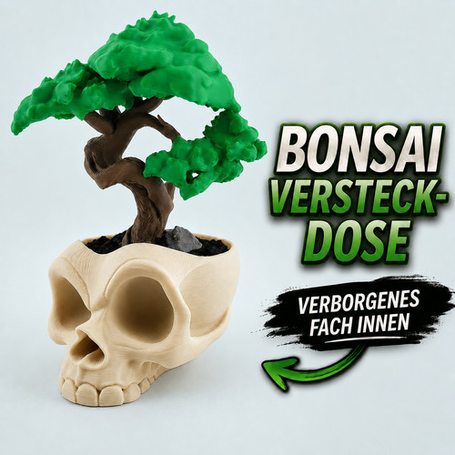 Bonsai baum mit - 3d,