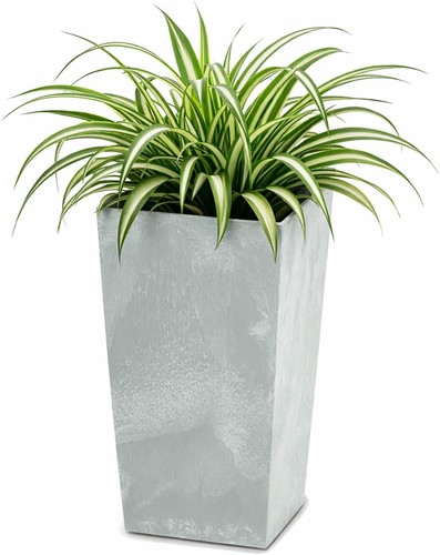 Prosperplast blumentopf - prosperplast,
