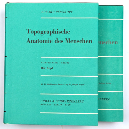 Topographische anatomie des - anatomie,