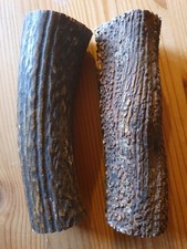 Geweihteile Geweihrollen