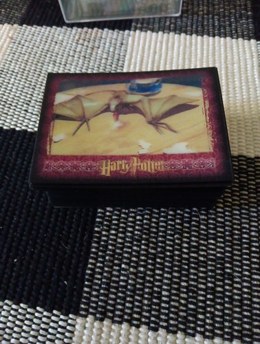 The world harry potter in - potter,