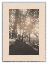 Aachen 1936 - Stadtwald -