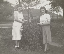Zwei Frauen stehen an einem Busch vorm Haus 30er Jahre Mode Schürze Mann Foto