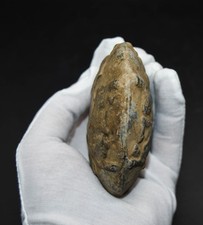 Seltene Gandhara Terrakotta