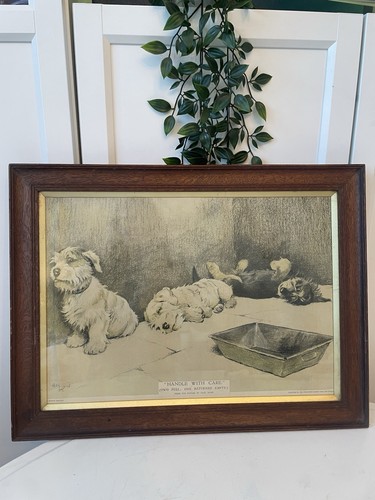 Antiker cecil aldin - aldin, hund
