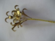 filigrane Anstecknadel