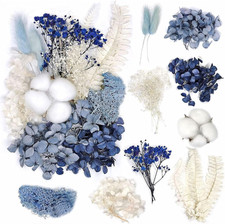 Trockenblumen Set für DIY