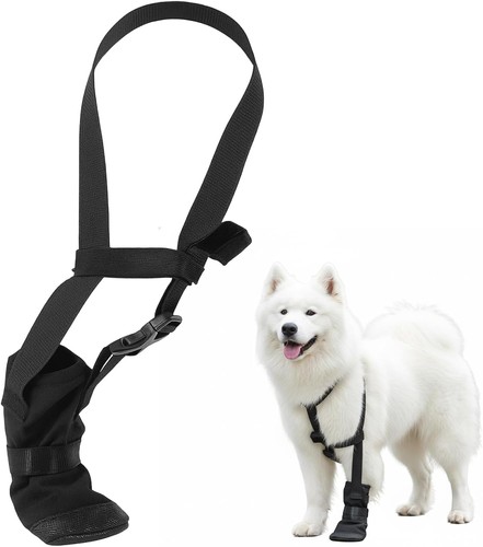 Stück pfotenschutz hund - pfotenschutz,