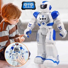 Intelligente RC Roboter mit