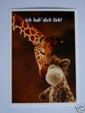 NICI Karte Postkarte Wild