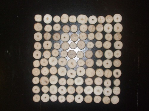 100 baumscheiben esche 2 - 100, 1,5