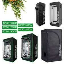 Growbox Gewächshaus Zuchtzelt