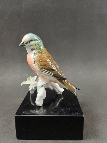 Karl ens porzellan vogel - porzellan,
