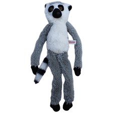 Aurora Hängender Lemur mit