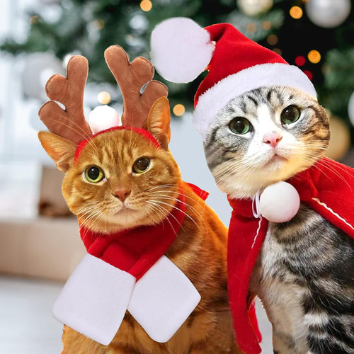 Weihnachtskostüm für katzen - weihnachtskostüm,