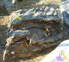 OZEANFINDLING Findling