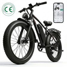 City e Bike Elektrofahrrad