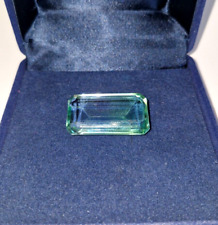 Ausstellungsglasatrappe eines