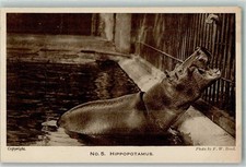 39152014 - Zoo London