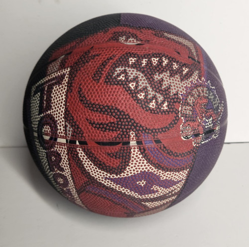 Toronto raptors nba - toronto,