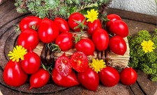 Piennolo del Vesuvio - super