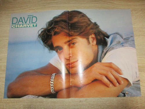 Poster bravo din - bravo,