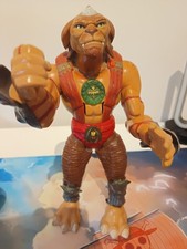 Archer gorgonauta small - gorgonauta,
