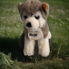 Sammlerst. von Steiff — Husky Bernie in Grau/Weiß, ca. 16 cm hoch und 17 cm lang