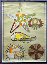 Maritimes Wandbild Dekoration Wandtafel Stachelhäuter Seeigel