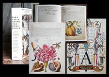 1992 Hendrix Vignau-Wilberg