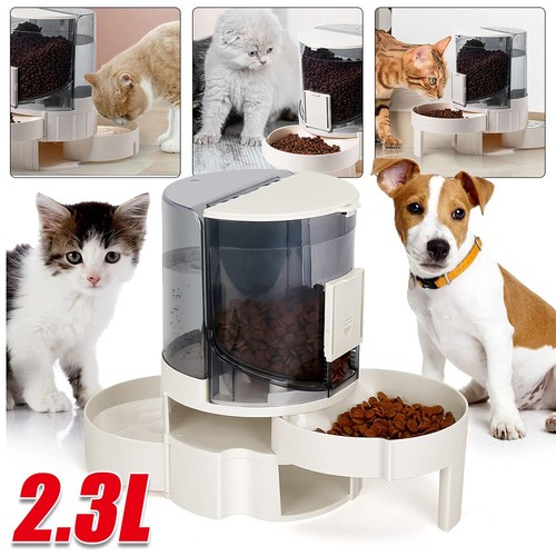 2in1 2300 hunde - 2in1, katzen