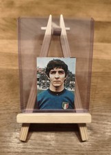 Americana Soccer World Cup