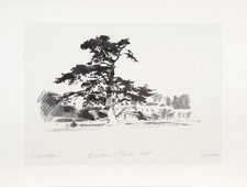 Serigraphie von Siegward