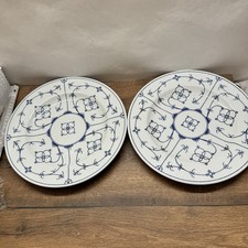 2x Winterling Indischblau