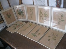 9 alte Stiche hinter Glas