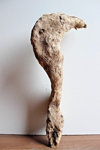 Treibholz schwemmholz - schwemmholz, 1