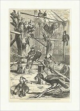 Voliere der Großschnäbler im Zoo, Berlin Meyerheim Holzstich SUPERPREIS X 1813