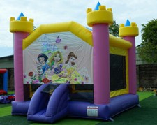 Märchenschloss Profi