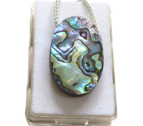 Paua muschel anhänger abalone - paua,