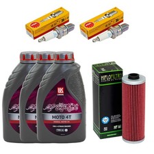 Öl Inspektion Set 3L