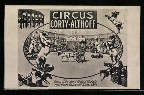 Ansichtskarte zirkus - ansichtskarte,