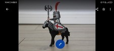 Playmobil Kreuzritter Custom